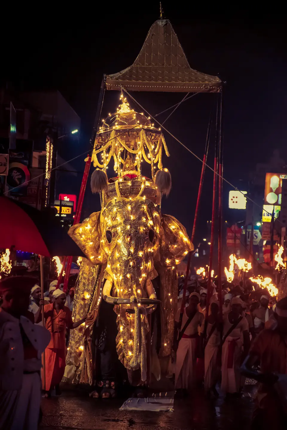 2019年康提佛牙节游行中，一头缀满灯光的大象从持火炬者身旁经过
