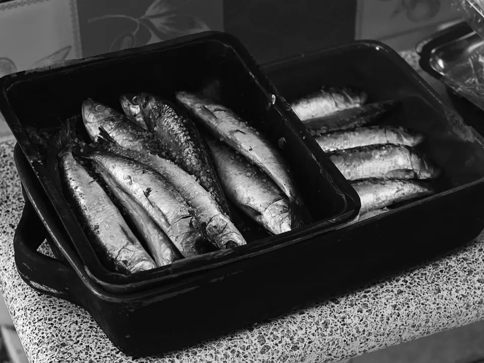 Sardines ready for the grill in June, the month of the popular saints, in Maia near Porto